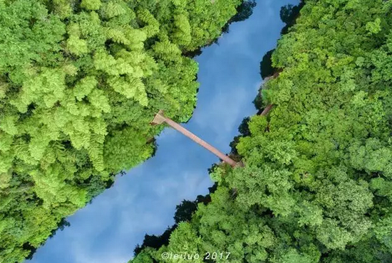 酷暑时节觅清凉 走进避暑胜地醉山野缩略图