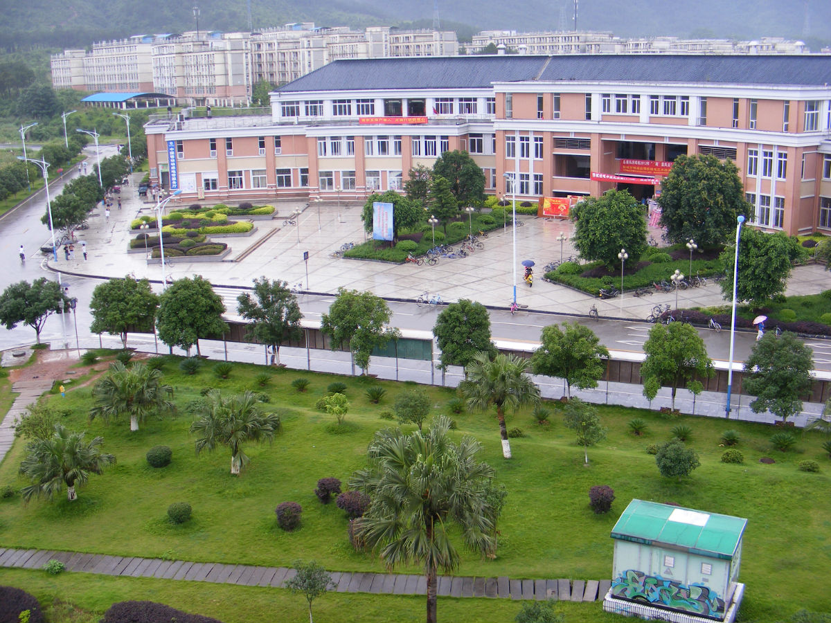 00后选什么专业？大学新增专业三宗“最”缩略图